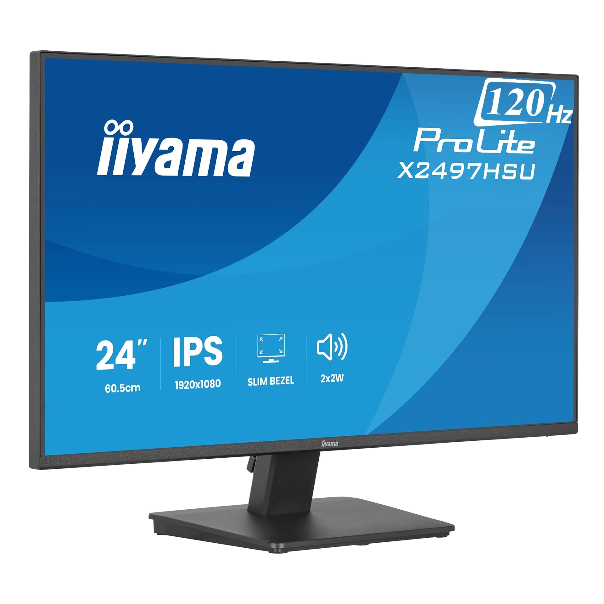 Монитор iiyama ProLite X2497HSU-B1 24"