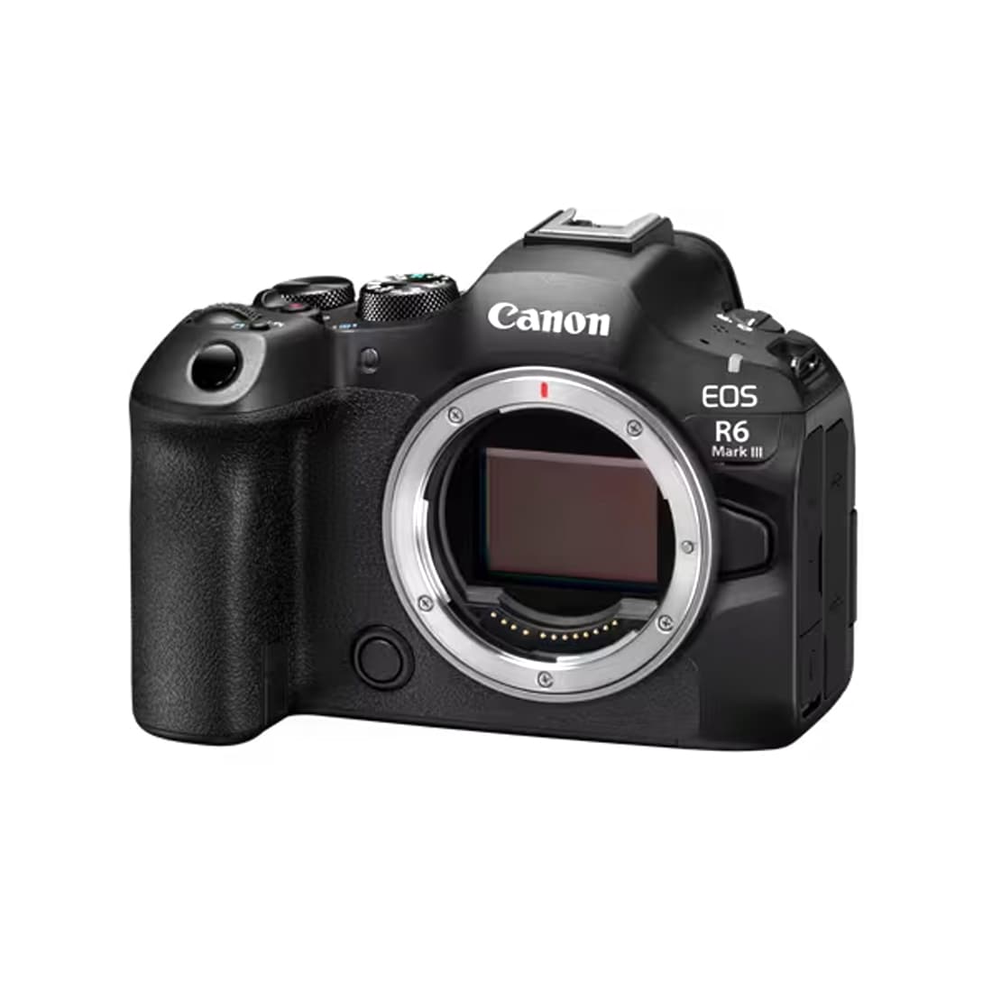 Цифровой фотоаппарат CANON EOS R6 Mark III BODY V5